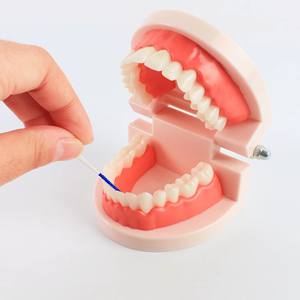 Cepillo Dental para Uso Doméstico, <span class=keywords><strong>Limpiador</strong></span> <span class=keywords><strong>Interdental</strong></span> para Dientes y Encías, Ayuda a Eliminar la Placa, Cabezal para Hilo Dental - Product Image 6