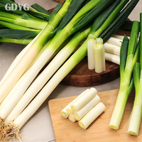 Légumes surgelés/Emballage de légumes surgelés/Légumes IQF cuits à la vapeur/Fruits et Oignons verts surgelés IQF Top Ventas
