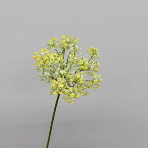 Single Stem Large Lace Rice Flower Artificial Flower Green Yellow <b>Light</b> Purple Blue White High Simulation Wedding Decoration - Product Image 4