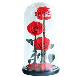 アミーファクトリー保存フラワーローズビッグプリンス3赤いバラ永遠の花バレンタインデーのギフトのためのガラスドームの永遠のバラ