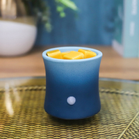 Brûleur d'arômes électrique en céramique, chauffe-bougie - Décoration d'intérieur écologique, support de table à brancher, compatibilité multi-prises, ETL