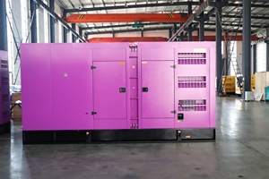 Générateur triphasé super silencieux de 750 KVA avec option moteur alternateur - Product Image 4
