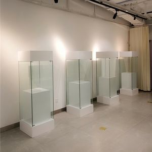 <span class=keywords><strong>Vitrina</strong></span> de vidrio para encimera de museo - Product Image 6