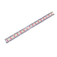 Lampe horticole LED haute efficacité, Module linéaire LED, lampe pour plante Samsung LM301H EVO et o-sram horticole LED