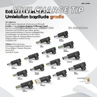 Adaptateur d'alimentation pour ordinateur portable Dajiang Mini Charge Tip 65W 6.0*3.7mm Femelle 5521 5525 4017 40135 USB C vers USB