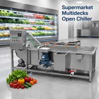 OEM/ODM Automatische Waterbelletjes Groente- en Fruitwasmachine Industriële Groothandel voor Fruitverwerkingsfabriek