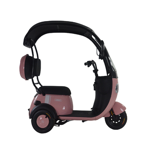 2024 Offre Spéciale de moto de vélo de Tricycle électrique à trois roues de haute qualité de 800W avec couvercle - Product Image 6