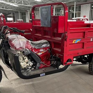 Tricycle à trois roues pas cher pour passagers/moto diesel avec moteur 150cc, vélo cargo - Product Image 4