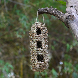 Nichoir à oiseaux en paille fait main, rectangulaire, à trois trous, décoration de jardin suspendue pour oiseaux, origine Fujian - Product Image 1