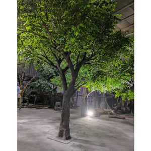 Grand arbre artificiel en fibre de verre de 4 m de haut et 4,5 m de large, <span class=keywords><strong>olivier</strong></span> artificiel - Product Image 6