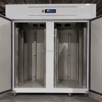 Congélateur vertical industriel à refroidissement par air pour boulangerie, idéal pour la pâte à pain, les pâtisseries, les biscuits, les cuisines centralisées et les usines alimentaires