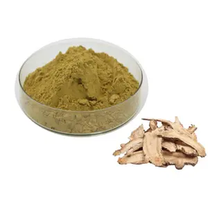 Hot sale angelica root powder angelica powder extract