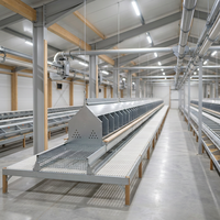 Nouvel incubateur automatique de grande capacité pour l'élevage avicole, avec collecte d'œufs pour poules pondeuses, haute productivité, pour autruches, dindes, canards, oies, émeus