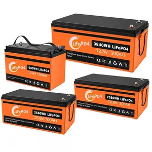Lowest Price German Stock lifepo4 5 years warranty 12v 50ah free shopping lithium battery prismatic lithium-ion battery