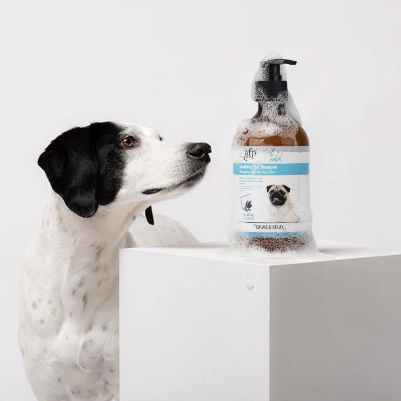 AFP Pet Salon Pet Grooming Accessories Soothing Glossing Bath Shampoo  Gentle Ph Natural Organic Dog Shampoo for Healthy Skin