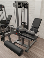 Machine professionnelle de musculation SK Commercial Gym Equipment pour extensions et curls des jambes avec pile de poids