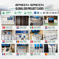 BASENGREEN 315Ah Lifepo4 Stock Pologne 10000 Cycles 3.2v 300Ah 314Ah 320Ah 330Ah LIFEPO4 AESC 314 Ah Stock UE