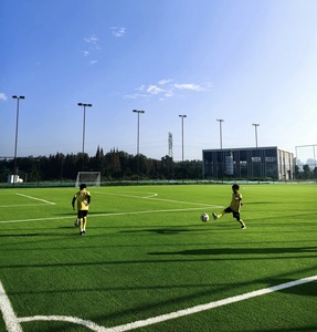 Césped Artificial Profesional AGG de Alta Densidad, 40mm/50mm, Duradero, para Exteriores, Jardín, Campo de Fútbol, <span class=keywords><strong>Cancha</strong></span> de Tenis <span class=keywords><strong>5</strong></span> - Product Image 2