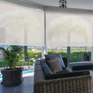 Bảo vệ bằng gỗ Patio cửa mù trong suốt Con lăn Patio rèm