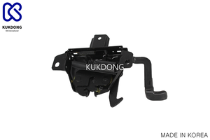 Il produttore esperto di produzione coreana ha personalizzato 81130-3K000 parti di automobili con cofano assoso - Product Image 3