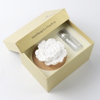 Diffuseur d'huiles essentielles en céramique personnalisé OEM, décoration de parfum d'intérieur de luxe, diffuseur d'arômes pour voiture
