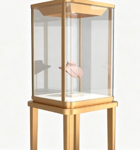 <span class=keywords><strong>Vitrina</strong></span> <span class=keywords><strong>de</strong></span> Exhibición <span class=keywords><strong>de</strong></span> Joyería <span class=keywords><strong>de</strong></span> Lujo con Pedestal Alto en Color Oro Champán, Estilo Museo Moderno con Iluminación LED y Tapa <span class=keywords><strong>de</strong></span> <span class=keywords><strong>Vidrio</strong></span> con Cerradura - Product Image 2