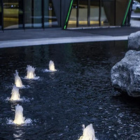 Ornement de jardin, fontaine musicale LED, mini fontaine d'eau dansante rythmique