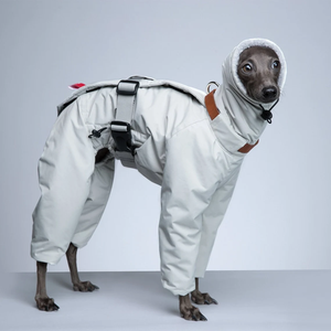 Combinaison pour chien faite à la main, super chaude, de haute qualité, imperméable, vêtements d'hiver pour chien, vêtements d'hiver pour lévrier italien - Product Image 1