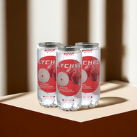 Boisson gazeuse personnalisée de jus de fruits et de légumes de marque privée OEM 350ml