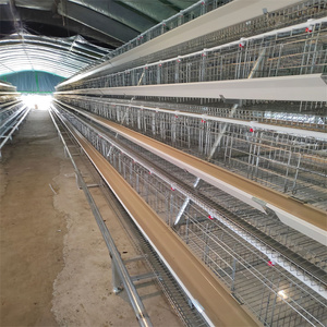 Cages à volailles neuves les plus vendues pour fermes avicoles au Pakistan – Cages à <span class=keywords><strong>poules</strong></span> <span class=keywords><strong>pondeuses</strong></span> en batterie en promotion - Product Image 2