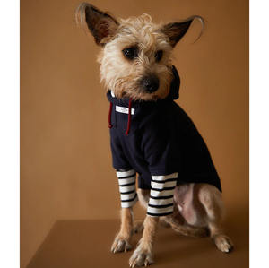 Camiseta a rayas de otoño para perros medianos y grandes, ropa sostenible acogedora, <span class=keywords><strong>Golden</strong></span> <span class=keywords><strong>Retriever</strong></span>, Labrador, mascotas de tamaño pequeño, verano e invierno - Product Image 2