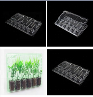 Boîte d'expédition R-PET transparente/6 plantes
