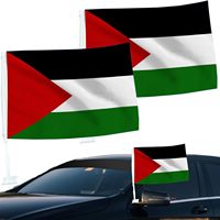 Vente flash : Drapeau de voiture personnalisé de petite taille, drapeaux de voiture de Palestine avec drapeau et mât