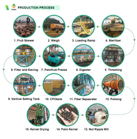 Palmolie dorsmachine met grote capaciteit, palmvrucht dorsapparatuur voor de Afrikaanse palmolieproductielijn
