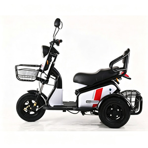 Tricycle électrique 2 places, type carrosserie ouverte, 1000W, tricycle pour adultes, capacité de charge 200-300kg, couleur rouge - Product Image 2