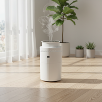 Diffuseur de chambre d'hôtel silencieux TX500 400ml sans eau pour remise en gros automatique