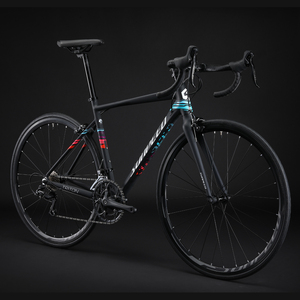 Durable Racing Bicycle Prices for High 