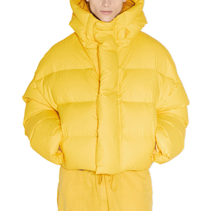 Chaqueta Acolchada con Capucha para Hombre, Estilo Urbano, Rellena de Plumón, Cortavientos, Informal, para Invierno, Corte Regular, Cierre de Cremallera, Color Sólido - Product Image 1