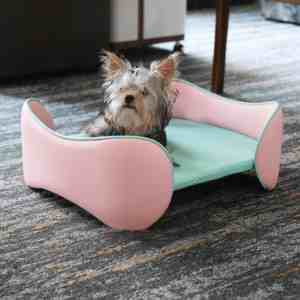 Camas para mascotas de aluminio y acero con logotipo personalizado OEM, accesorios metálicos de lujo, camas elevadas para perros y gatos, lavables, para verano, pequeñas y grandes, al por mayor. - Product Image 1