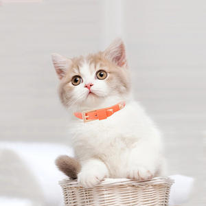 Küçük ve orta boy evcil hayvanlar için en çok satan <span class=keywords><strong>Pet</strong></span> inek derisi deri perçin yaka, çok renkli - Product Image 3