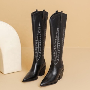 Bottes hautes pour femme, style western, brodées, à talons compensés épais, bout pointu, pour pieds larges, grande taille 46 - Product Image 4