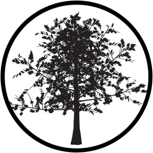Logo en verre gobo personnalisé, sur mesure, 30 mm, 37 mm, 53 mm, 54 mm - Product Image 1