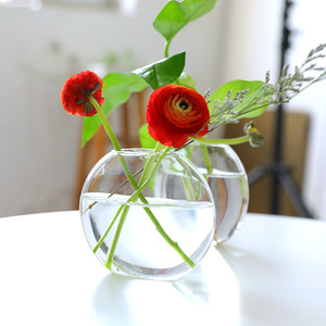 Jarrón de cristal de lujo para colgar en la pared, estilo rústico francés, para plantas hidropónicas, ideal para decoración de mesa de condolencias o exhibición de flores en el hogar familiar. - Product Image 4