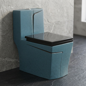 WC monobloc en céramique diamantée à double chasse, à poser au sol, pour projets d'appartements, fabriqué en Inde - Product Image 6