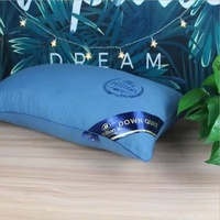 Taie d'oreiller d'aluminium Premium Double doublure, coussin en microfibre Polyester de 1000G 48x74cm avec sac à main