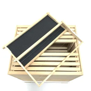 Wooden 8 10 frame beehive box australian beehive for sale