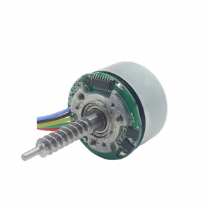 Tùy chỉnh BLDC động cơ Nhà cung cấp jiqiang tùy chỉnh 2450 ± 10% RPM Brushless DC Motors - Product Image 2