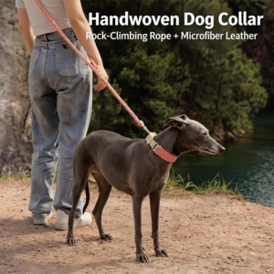 Collier pour chien tressé à la main 3 en 1, laisse en corde durable, paracorde tissé, boucle en nylon réglable - Product Image 3