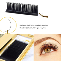 En stock Extensions de cils classiques individuels Premium PBT B C CC D DD Curl Lashes Wholesale Mink Eyelash Extensions