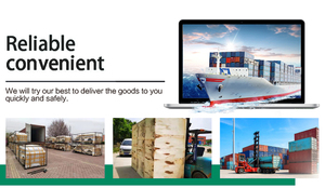 Mobil Truk Listrik <span class=keywords><strong>Mini</strong></span> 4 Kursi AWD dengan Rak Atap Logam dan Kamera Belakang untuk Dewasa - Product Image 4